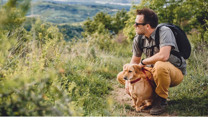 How CBD Creams Are Soothing Post-Hike Soreness