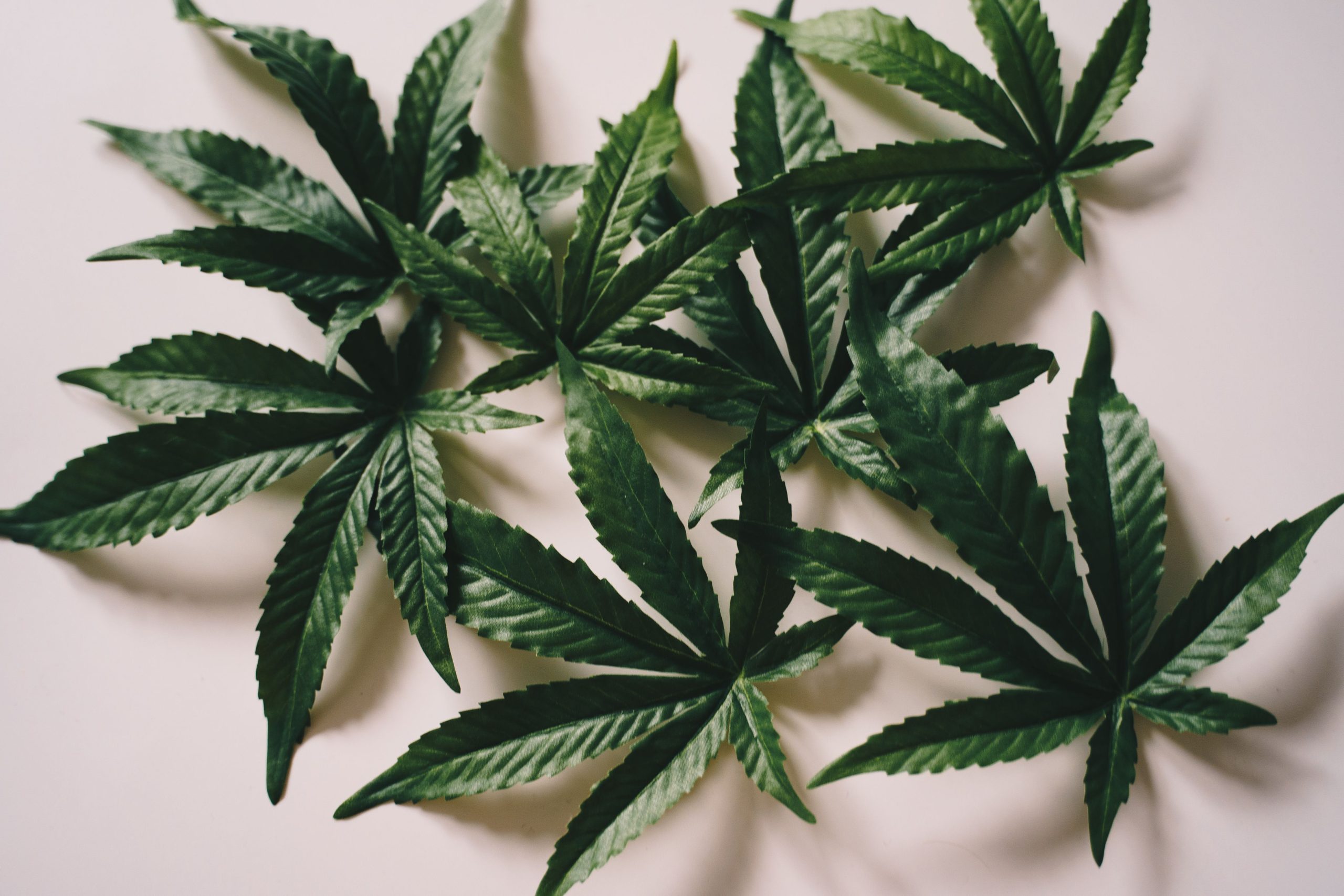 How Better Research Is Shaping The CBD Marketplace?